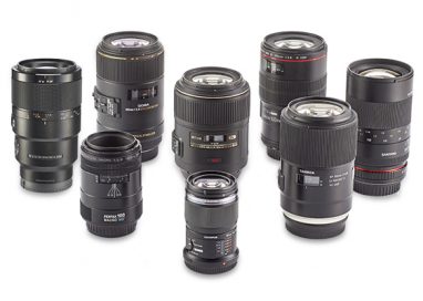 Macro lenses group test – Which one takes the crown?