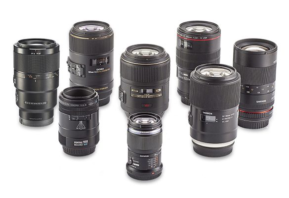 Macro lenses group test – Which one takes the crown?