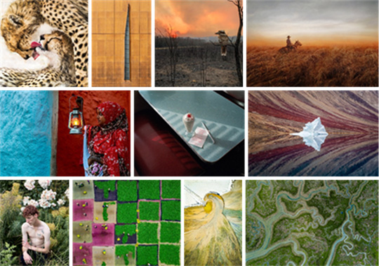 Sony World Photography Awards Open Competition 2020 Category Winners and Shortlist announced